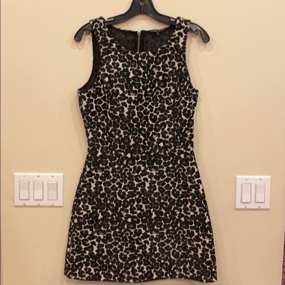 Felicity ad Coco velvet cheetah dress cut out back